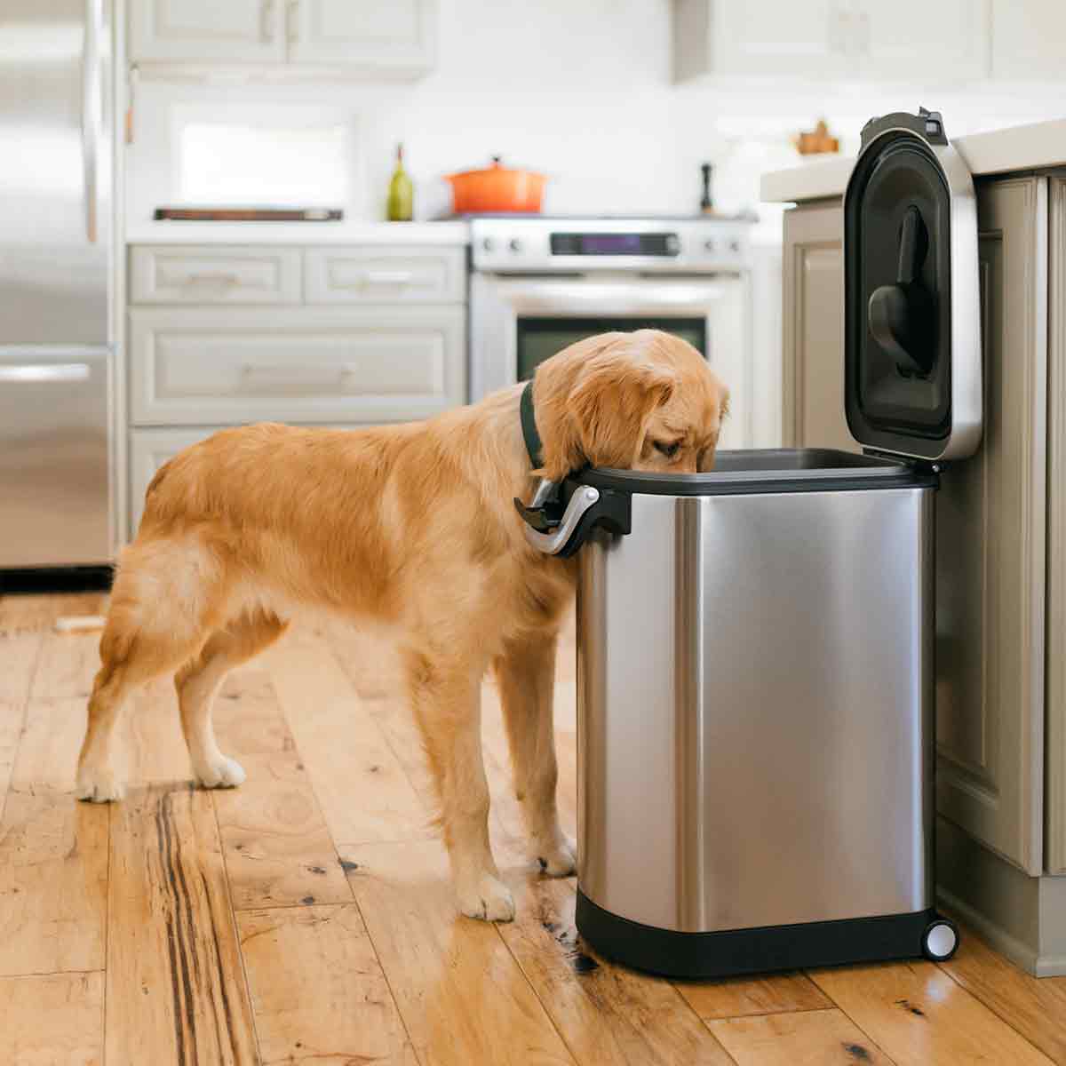 large pet food can