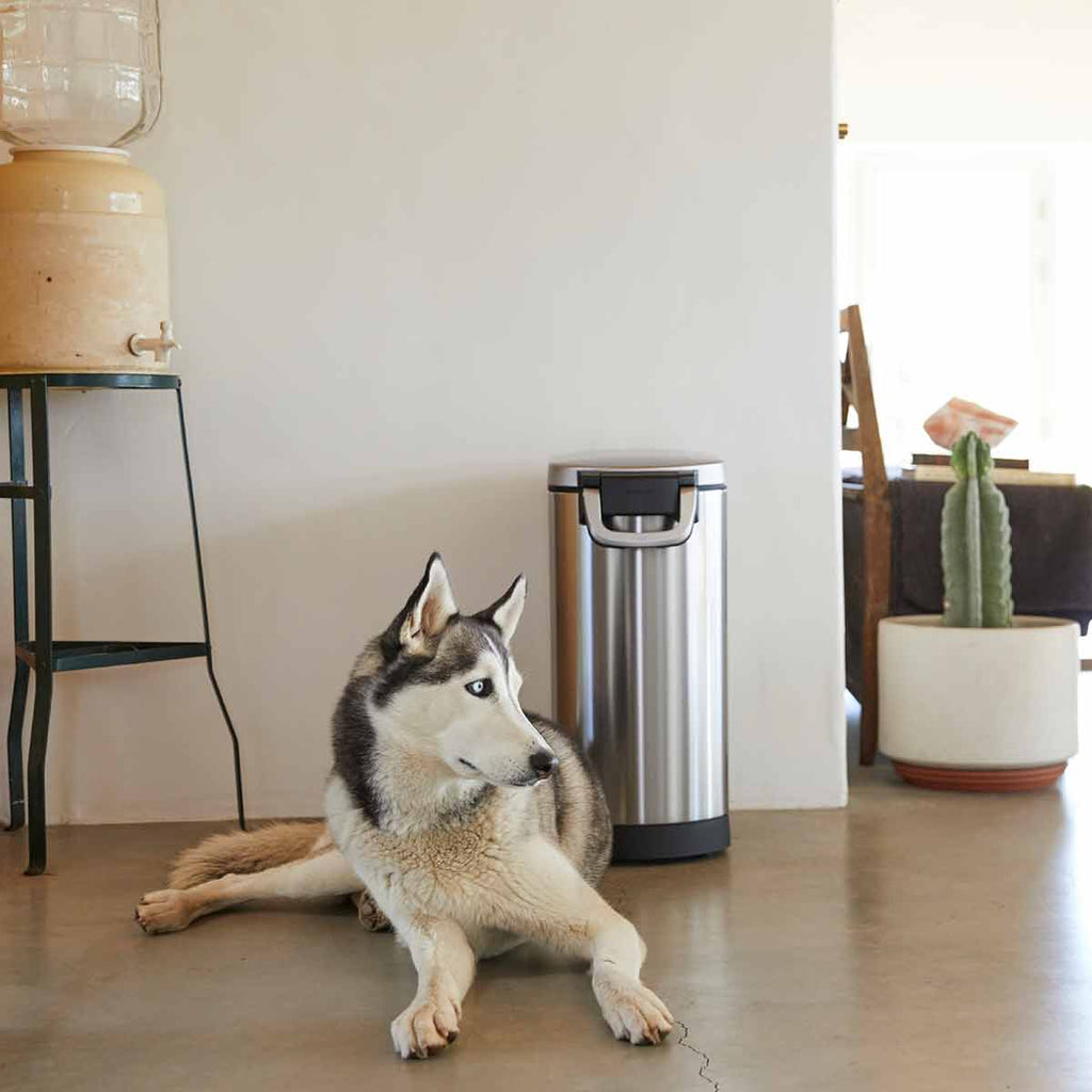 large pet food can