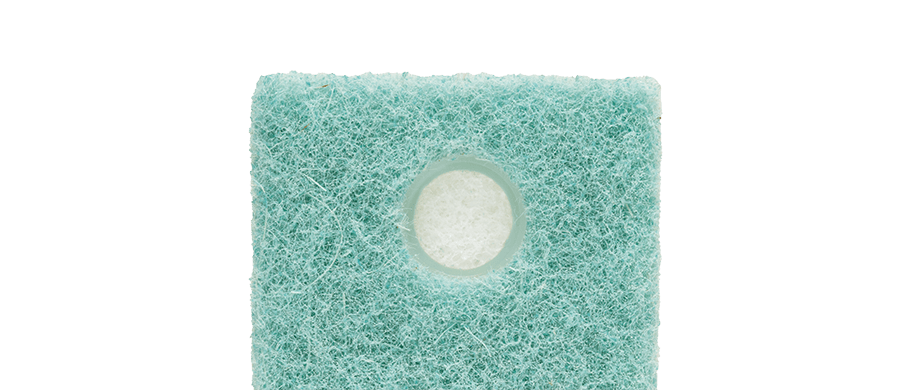 Sponge